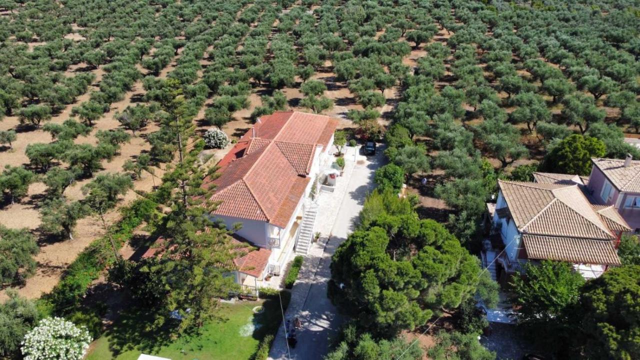 Villa Clelia Vasilikí المظهر الخارجي الصورة
